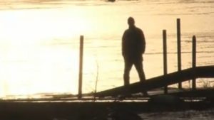 为什么我们应该给转基因食品贴标签英语作文 (为什么我们应该在上网时只访问可信网站：安全与隐私的考量)-偌夕博客