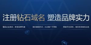 免费顶级域名申请网站 (免费顶级域名推荐：推荐几个免费获得顶级域名的方法)-偌夕博客