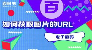 查找并获取所需信息的能力 (如何查找并获取IP的详细地址信息？)-偌夕博客
