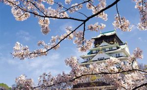 日本七天多少钱 (日本7天免费wifi万能服务器:让你尽情游玩无忧)-偌夕博客