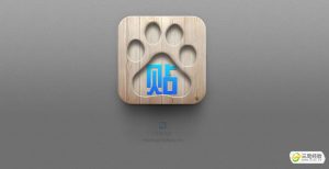 如何寻找并使用的网络 (如何寻找并使用IP地址？)-偌夕博客