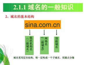 什么是域名地址?为什么要使用域名地址? (什么是域名DNS？了解域名系统的基础知识)-偌夕博客