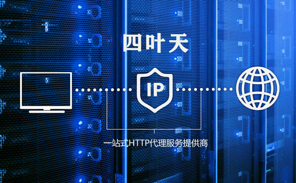 IP代理服务器的工作原理及其在网络安全中的作用-偌夕博客