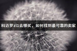 如何找到可靠的汽修厂 (如何找到可靠的国外在线代理服务器)-偌夕博客