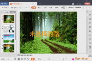 选择合适的路作文600字 (选择合适的VPS方案，为你的业务提供强大支持)-偌夕博客