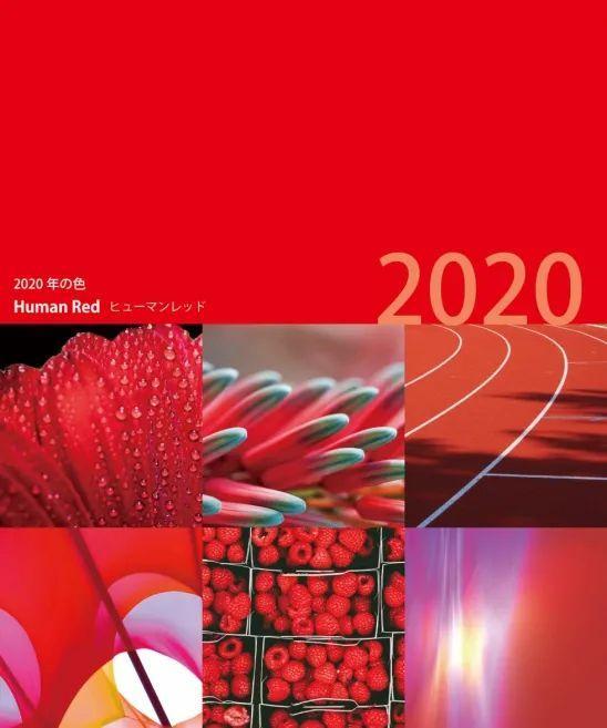 2020年度感动中国十大人物 (2020年度中国免费网站服务器全面评估)-偌夕博客