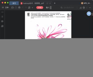 深入解析ipv6第三版 (深入解析IP地址的类型和分配方式)-偌夕博客