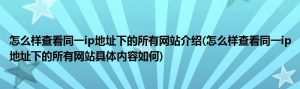 同一ip地址开票有风险吗 (同一IP地址下的网站如何进行查询与分析)-偌夕博客