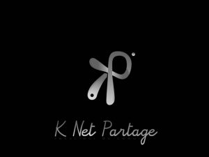 .net kong (掌握net空间安全技巧：保护你的网络隐私)-偌夕博客