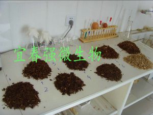 为什么要使用递推算法 (为什么要使用 IP 限制？如何利用它保护您的网站？)-偌夕博客