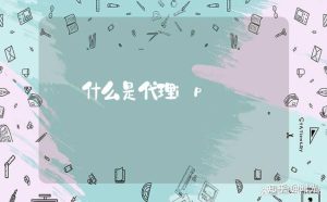 代理IP的作用和优势是什么? (代理ip的作用和注意事项百家号)-偌夕博客