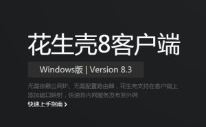 花生壳域名的应用与技巧大揭秘 (花生壳域名的用户名和密码)-偌夕博客