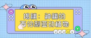 揭秘神秘xunizhuji：探索其背后的技术奥秘和未来发展趋势 (揭秘神秘小岛的秘密)-偌夕博客