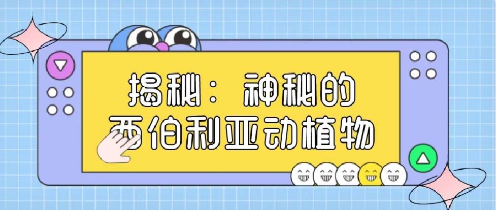 探索其背后的技术奥秘和未来发展趋势