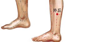 如何准确地查找并确认我的IP地址 (如何准确地查找申通快递到底在哪)-偌夕博客