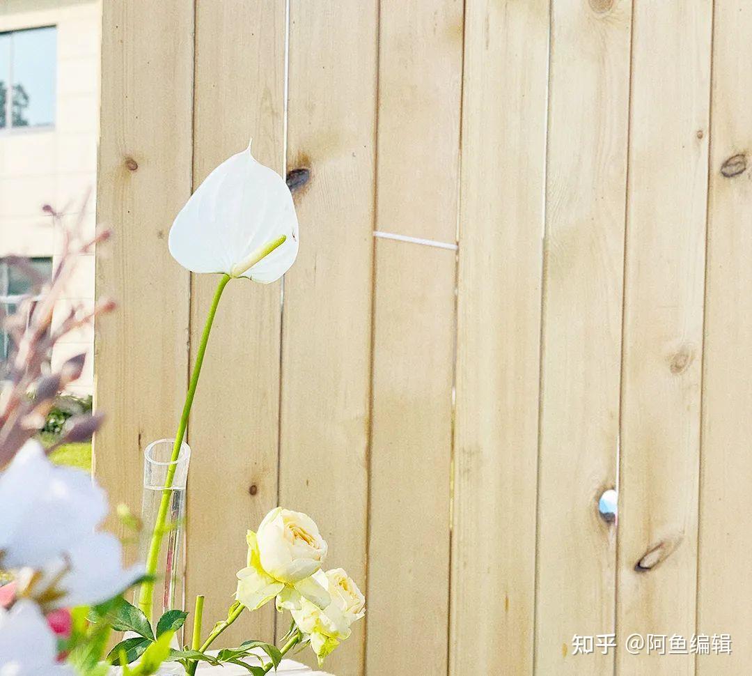 探讨如何合法合规地选择优质VPS服务-偌夕博客