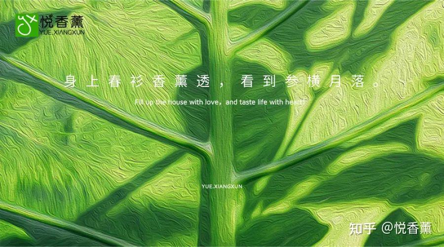 哪些地方的香港VPS价格更实惠