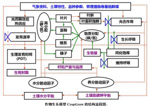 如何构建专业可靠的VPS评测平台-偌夕博客