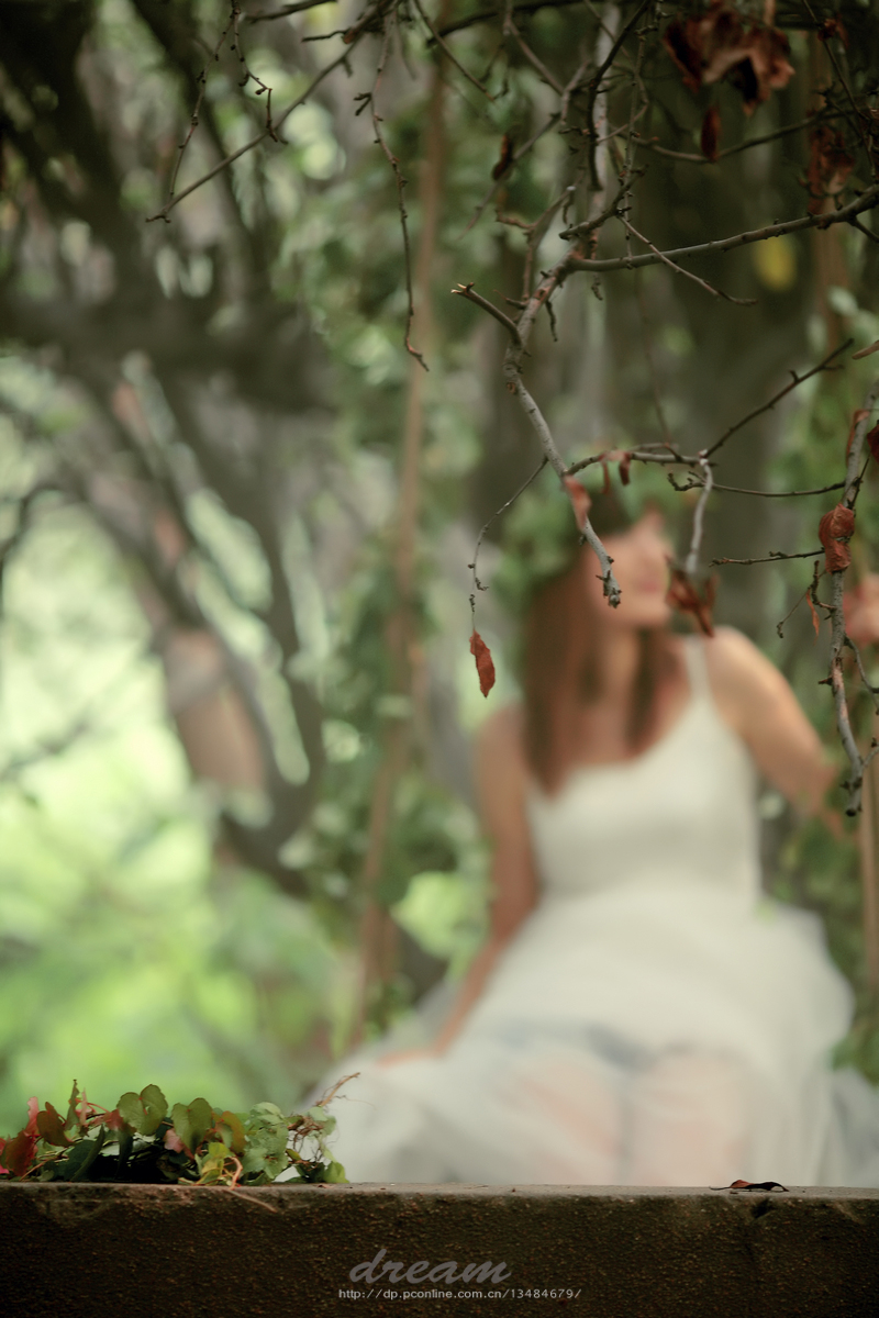 真实体验感受分享