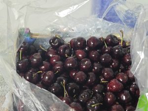 价格与性价比评估-偌夕博客