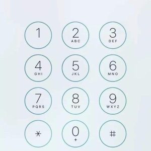 揭秘动态拨号机制及其在企业通信领域的应用价值-偌夕博客