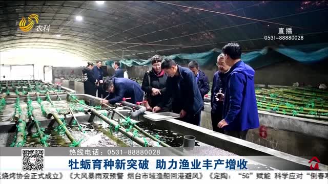 助力你的网络需求